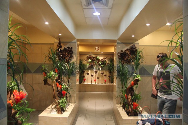 Россия и Маврикий ввели безвизовый режим