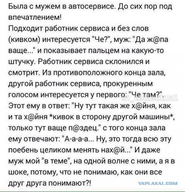 Подборка смешных картинок с надписями