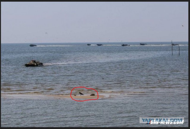 ДНР - учения по высадке морского десанта с моря