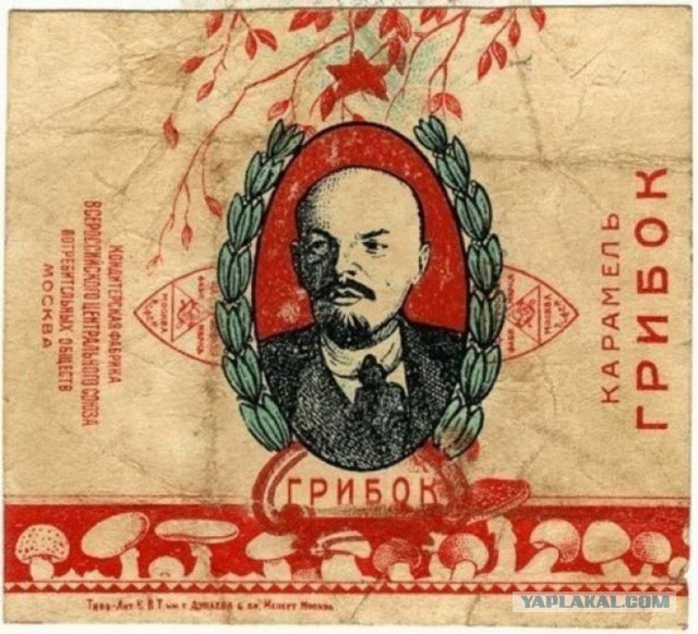 Грибов до.... много в общем.
