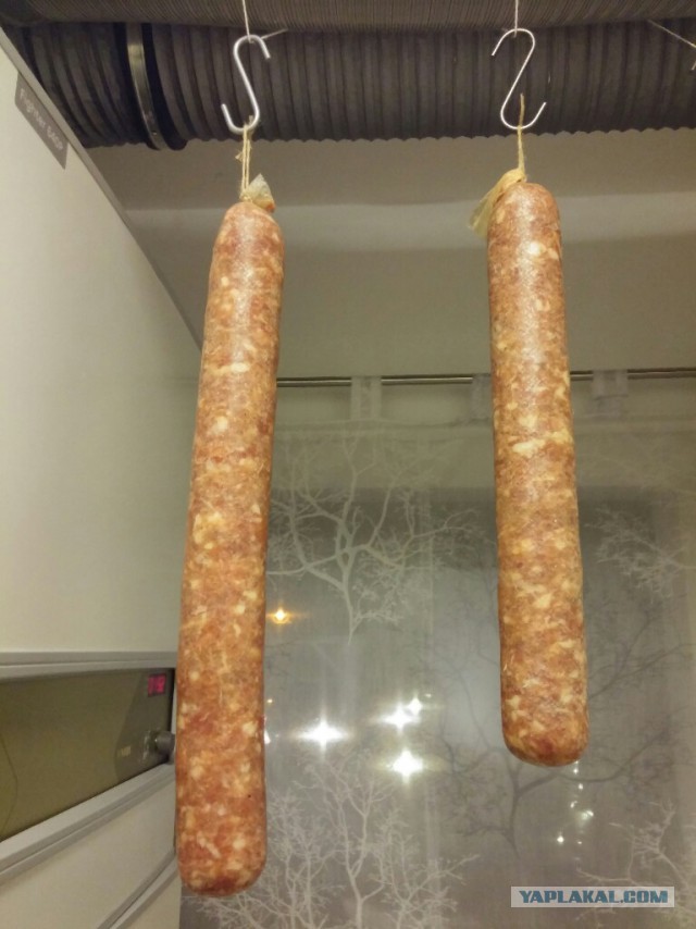 Колбасный FAQ. Делимся опытом, задаем вопросы, обсуждаем технологии.