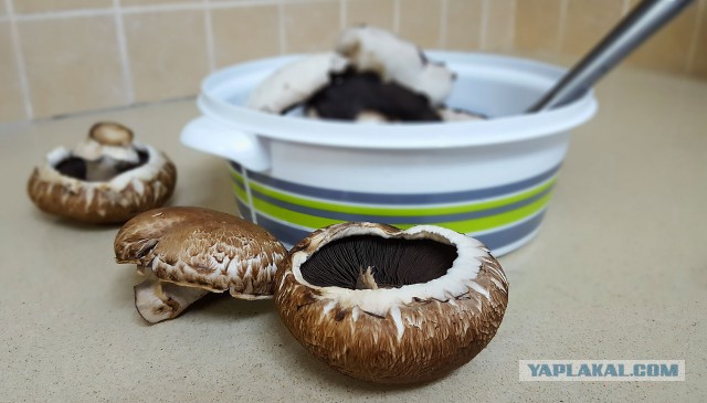 Фуршетный закусочный стол