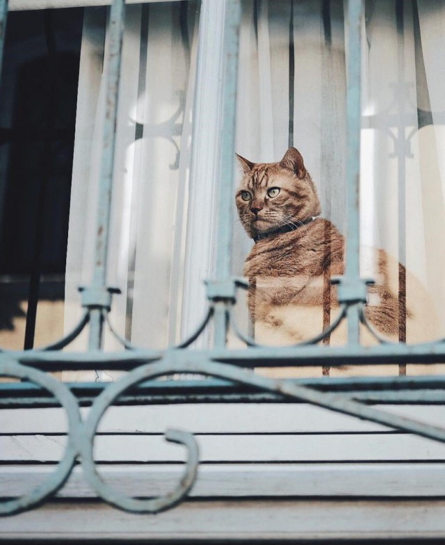 Фото интересные и не только