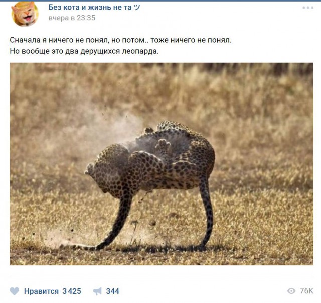 Журнал школьный деградант
