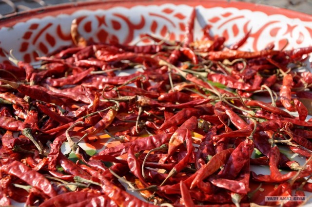 Чианг Май. Жемчужина Севера.