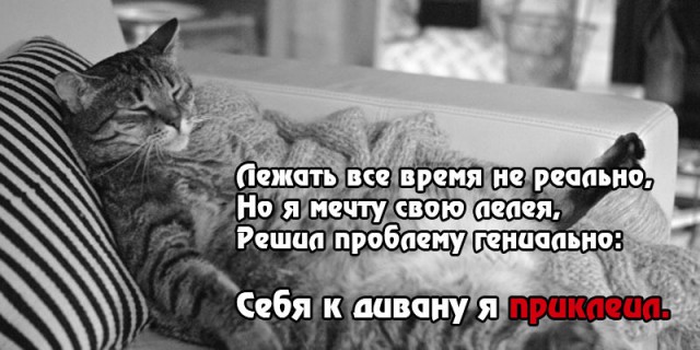 Они отточили свои навыки в лени до совершенства.