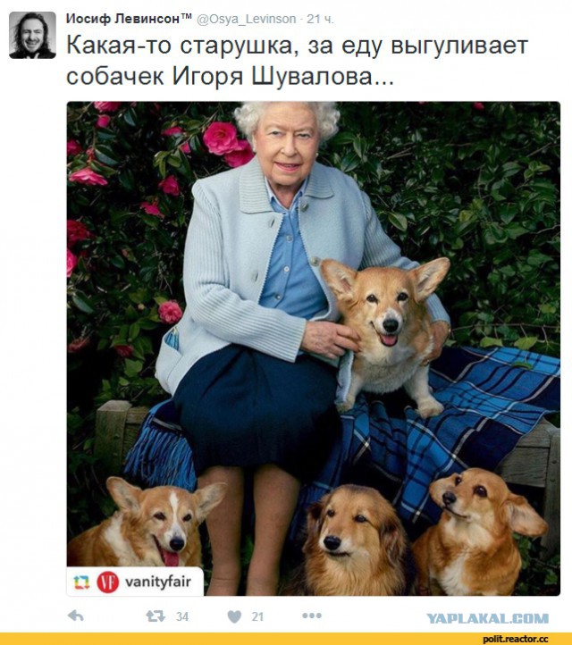 У Игоря Шувалова нашли новый самолет. Не тот, на котором возят корги