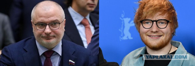 Сенатор внес законопроект об арестах за неуважение к власти в интернете