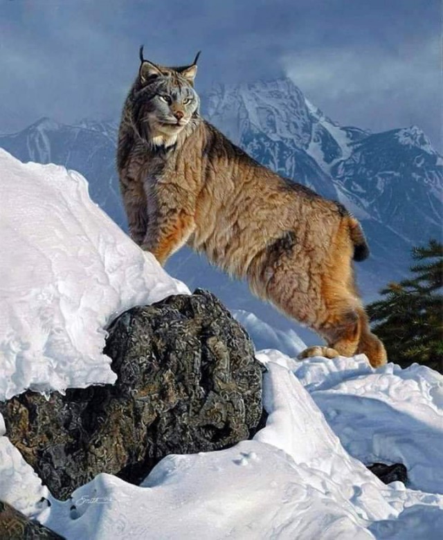 Живность из сети