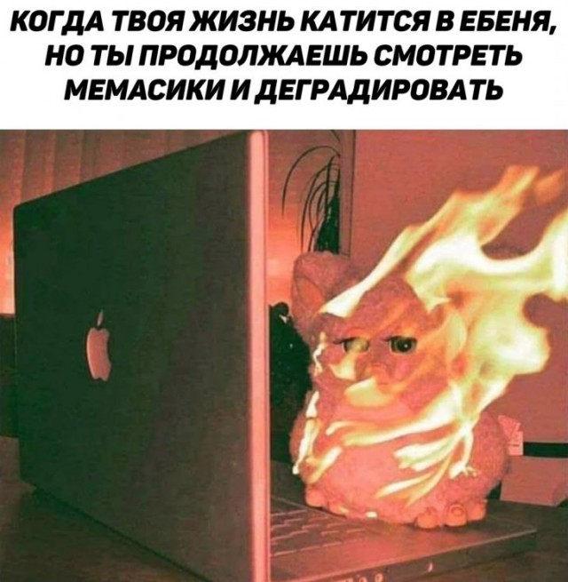 Немного картинок перед сном