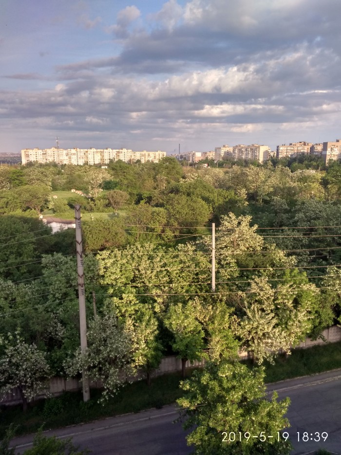 Лето, делимся видом из окна