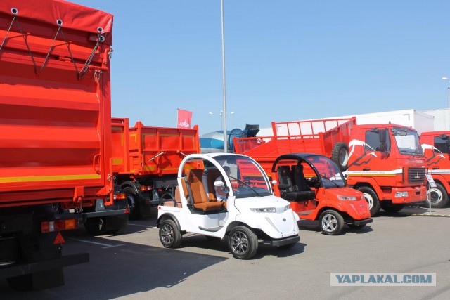 Побывали  c  сыном на выставке БЕЛАГРО