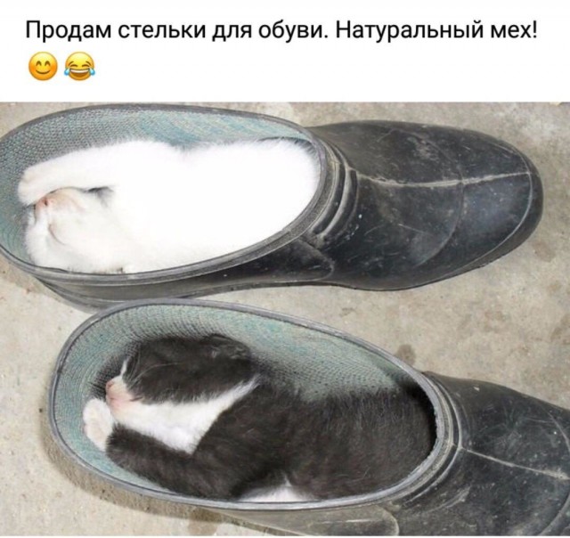 Подборочка картиночек для поднятия настроеньица