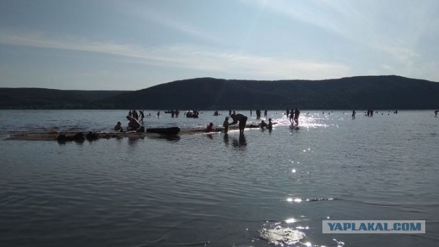 Волга убывает, рыбы умирают: в Самаре назрела экологическая катастрофа