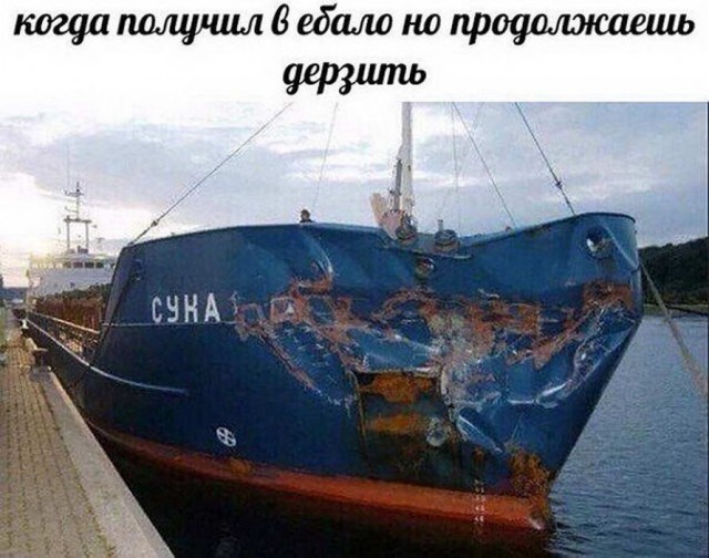 Гуляет Алиса по шахматным клеткам, или шоколадка за нольпятку