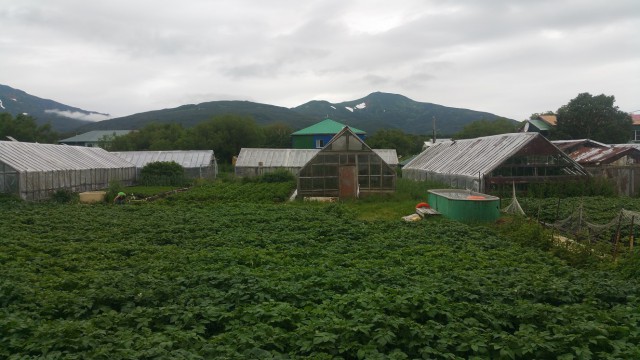 Камчатка, я вернулся, или как мы спали с ружьями