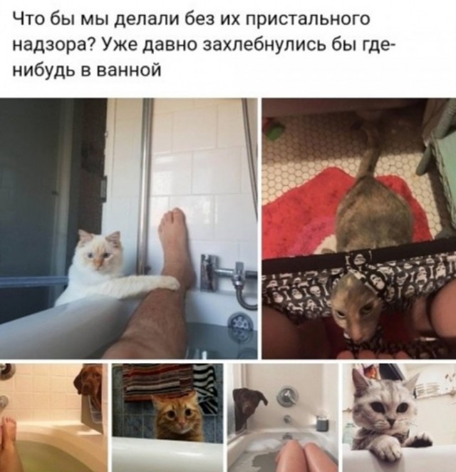 Чуток картинок! 22.12.19