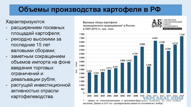 Ты против Сталина, значит, за Гитлера»
