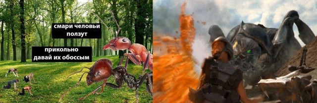 Тихо, идёт отбор