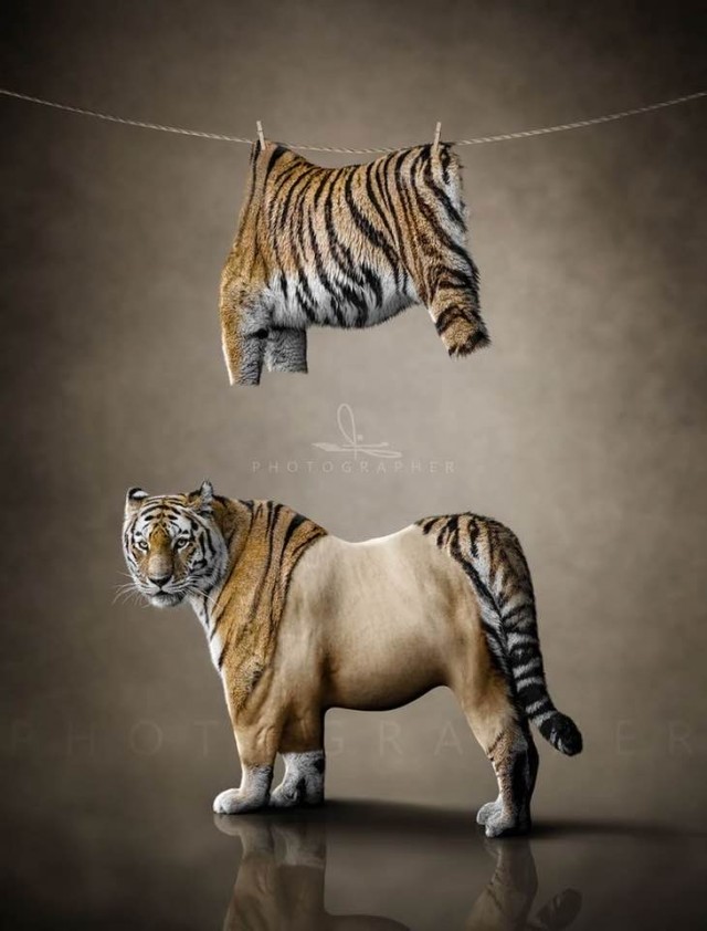 Crazy Art - C днём космонавтики!