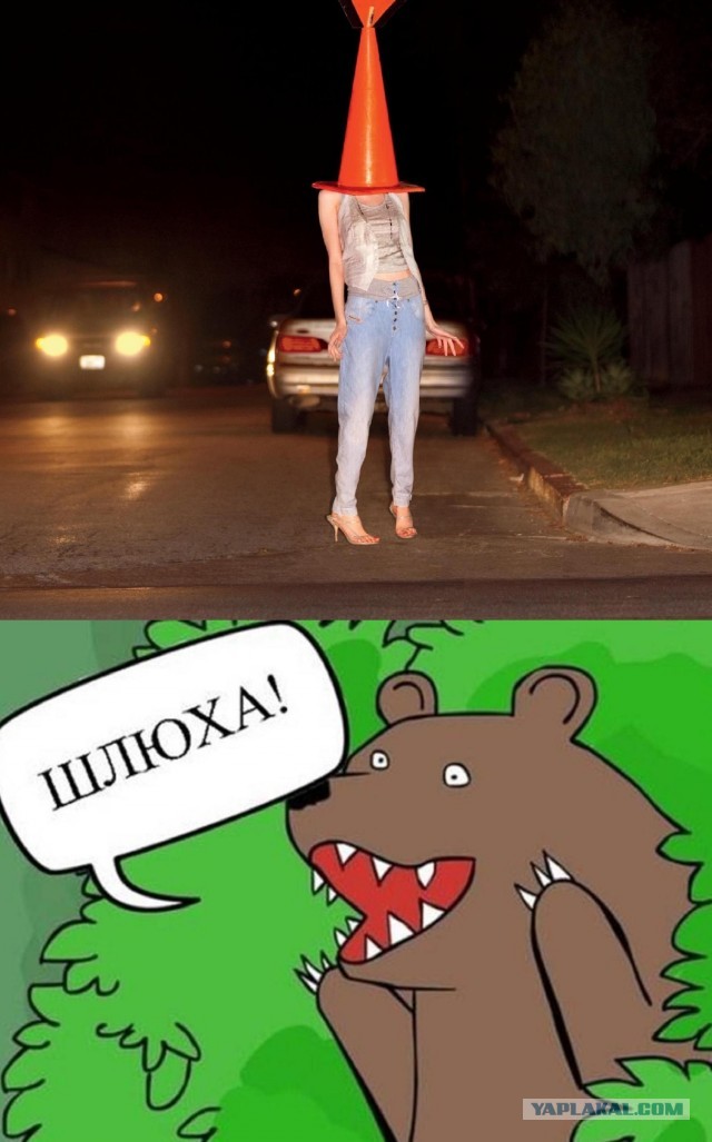 Медвежья услуга