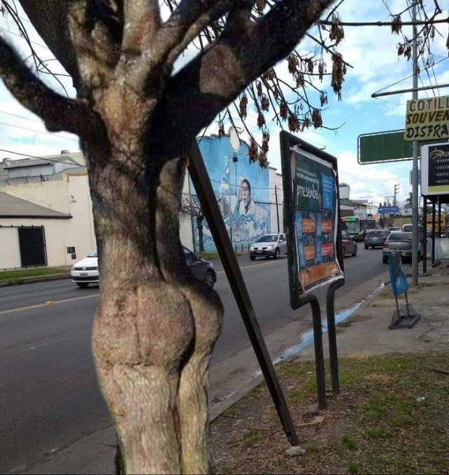 Очень пошлые картинки про это.18+