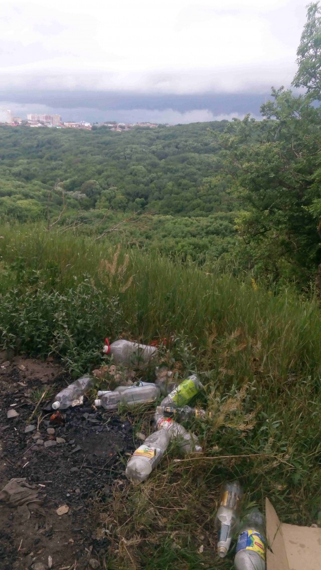 В России треснул стержень патриотизма