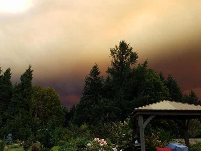 Лесные пожары в Орегоне делают пейзаж апокалиптичным