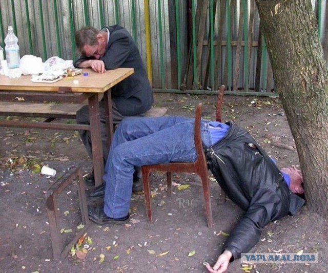 Ему сказали "да не ссы ты, не пристрелим"
