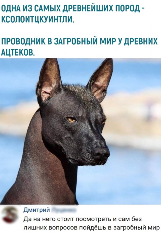 Необычные картинки