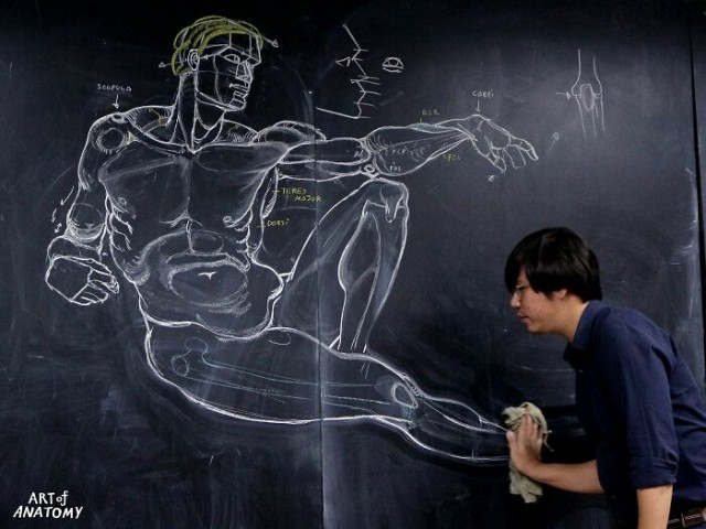 Учитель анатомии прославился благодаря рисункам на доске