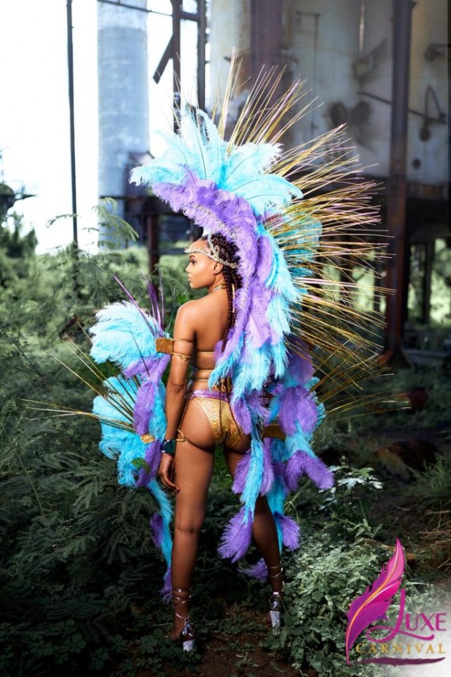 Карнавальных птичек пост