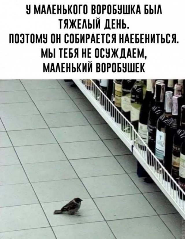 Как Иру замучил слишком правильный муж