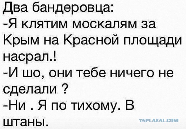 СС Галичина обещает пройти строем по Донецку и Москве