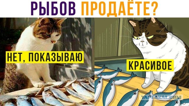 В этом видео прекрасно всё!