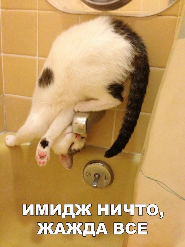 Так себе картинки 10.08.21