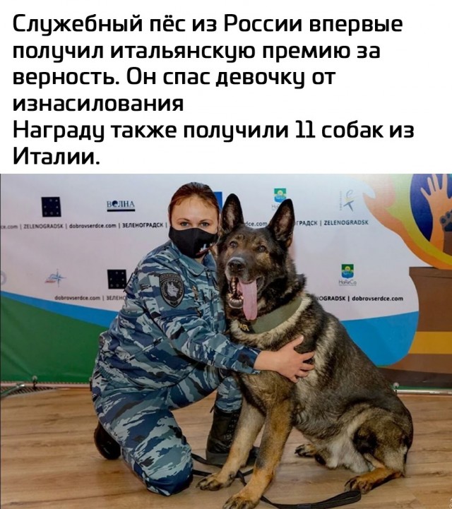 Так себе картинки 17.08.21