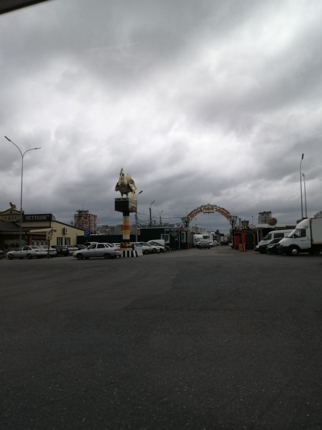 Мужчина должен брать ответственность за женскую безответственность