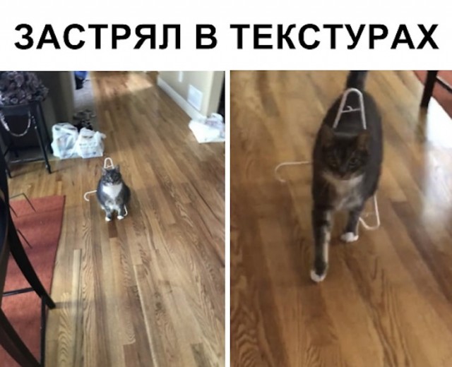 Картинки и мемы для настроения
