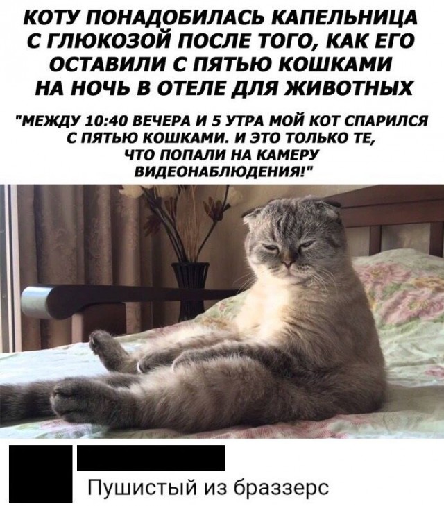 Так себе картинки 06.06.22