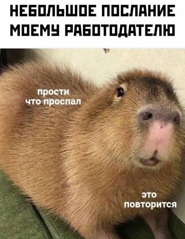 Картинки и мемы для настроения - 03