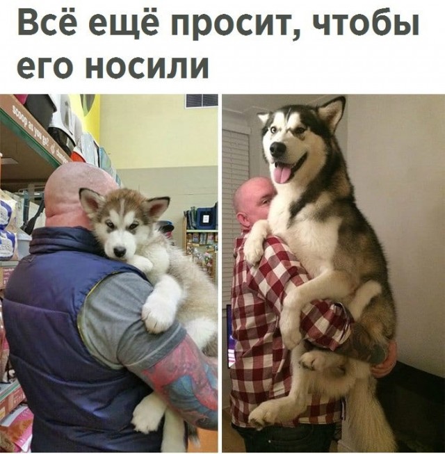 Так себе картинки 03.11.22