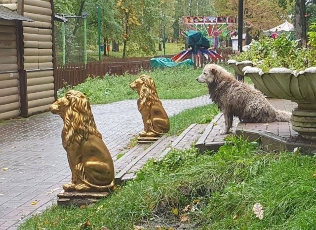 Картинки аморальные и всякие разные - 43
