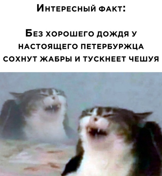 Немного картинок для настроения - 127