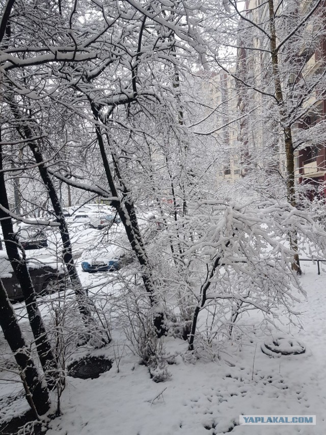И у нас весна!
