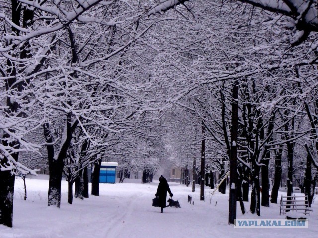 Мыльница