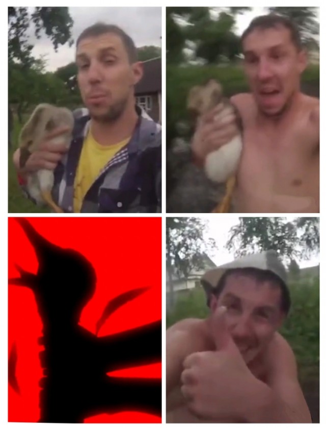 Все любят баню