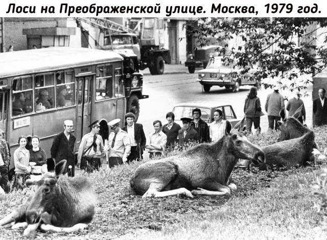 Небольшая подборка исторических фото (24.07)