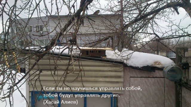Экс-глава минобороны Британии: Украине необходимо активизировать мобилизацию