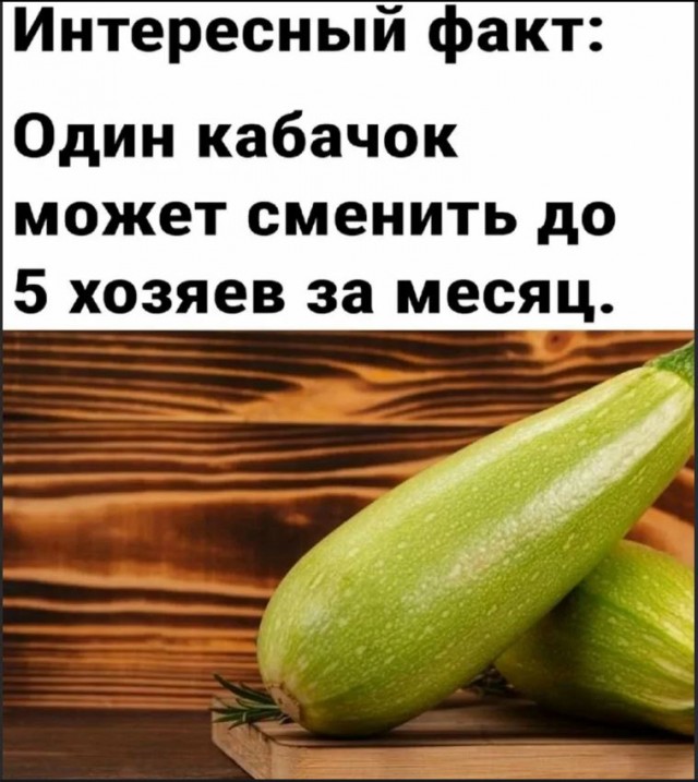 Химия и жизнь